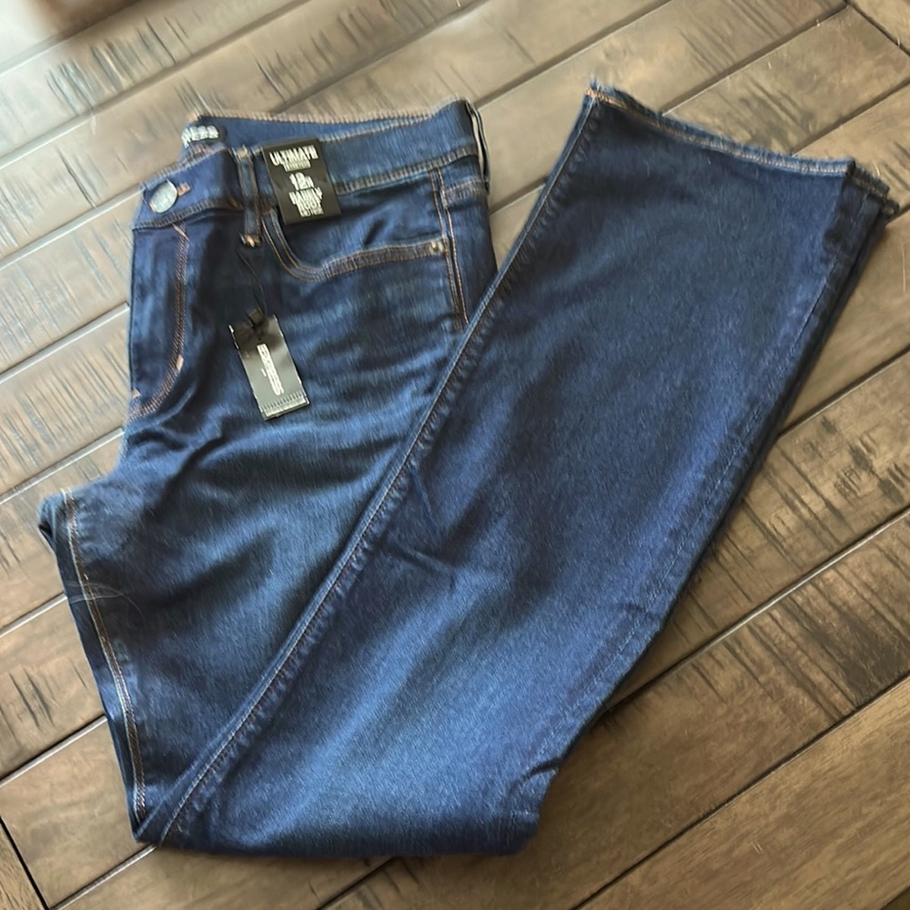 Express Dressy Dark Jeans